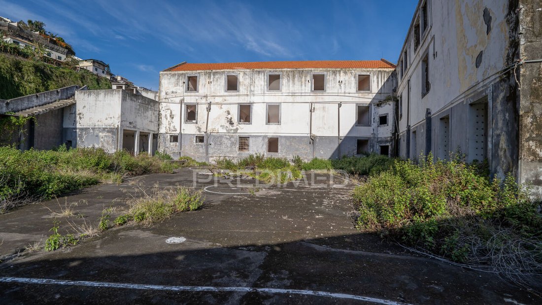 Domaine à Imaculado Coracao de Maria, Madère, Portugal 2 - 15037905