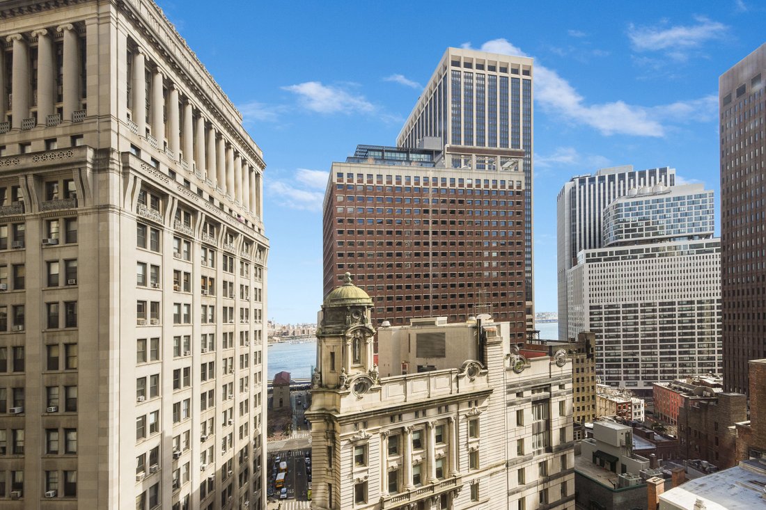 Condo in New York, New York, United States 3 - 17677503