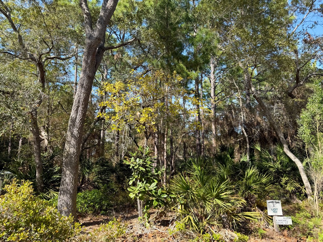 Land in Santa Rosa Beach, Florida, United States 1 - 17677240