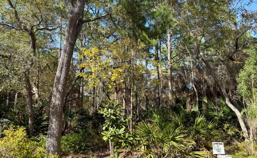 Land in Santa Rosa Beach, Florida, United States 1