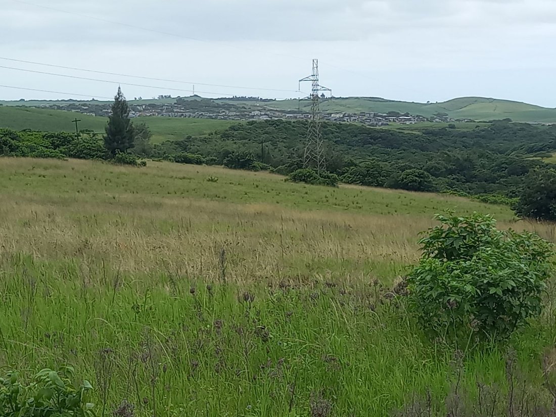 Azienda agricola a Shakaskraal, KwaZulu-Natal, Sudafrica 5 - 17677253