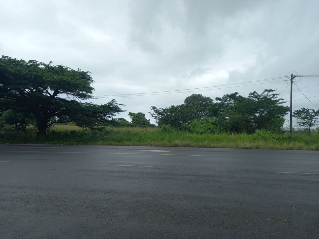 Azienda agricola a Shakaskraal, KwaZulu-Natal, Sudafrica 4 - 17677253