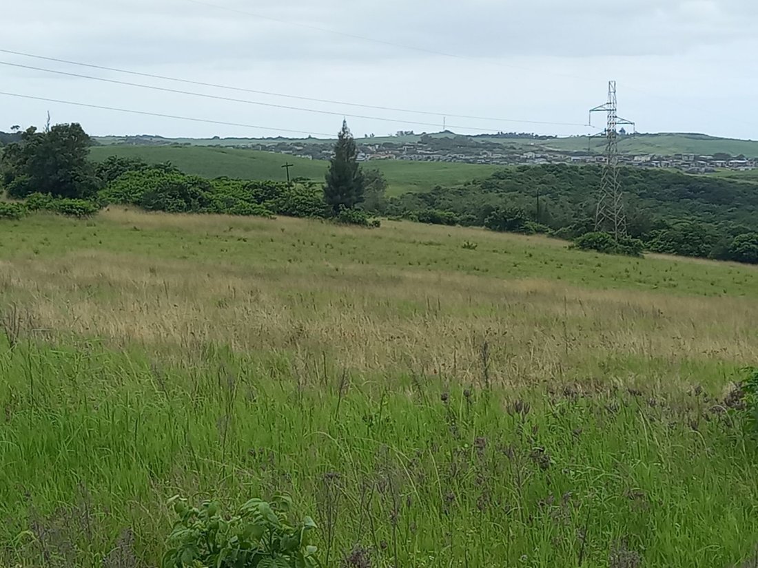 Azienda agricola a Shakaskraal, KwaZulu-Natal, Sudafrica 2 - 17677253