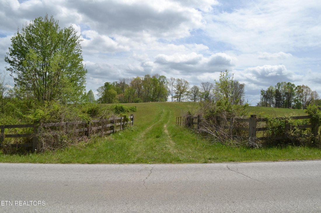 Land in Deer Lodge, Tennessee, United States 2 - 17677214