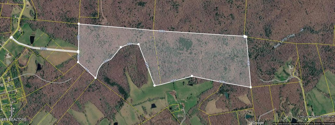 Land in Deer Lodge, Tennessee, United States 3 - 17677214