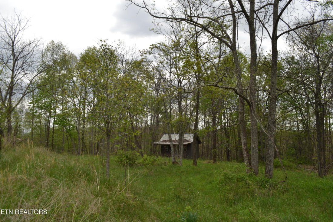 Land in Deer Lodge, Tennessee, United States 1 - 17677214
