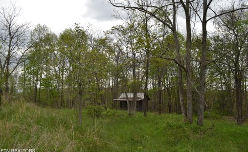 Land in Deer Lodge, Tennessee, United States 1