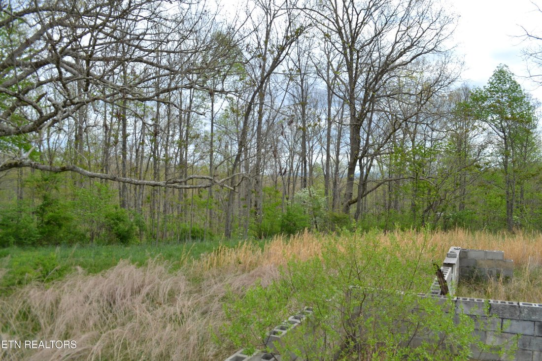 Land in Deer Lodge, Tennessee, United States 5 - 17677214