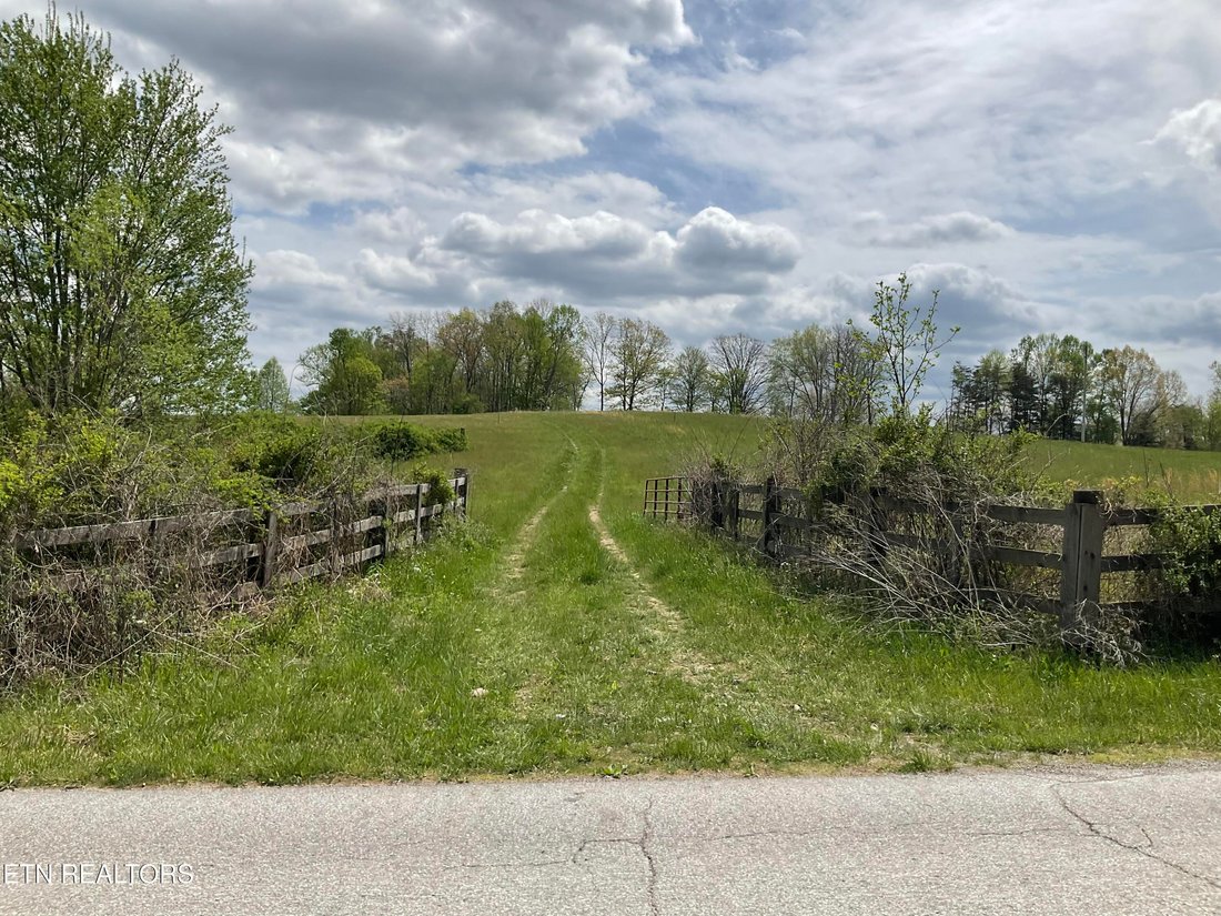 Land in Deer Lodge, Tennessee, United States 4 - 17677214