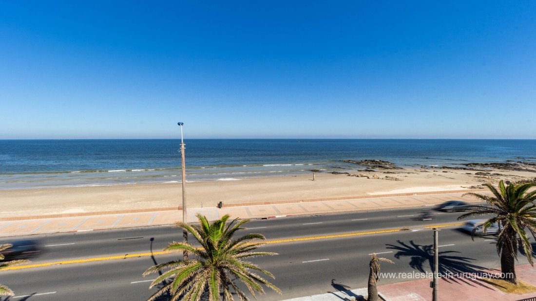 Apartment in Montevideo, Departamento de Montevideo, Uruguay 2 - 17677655