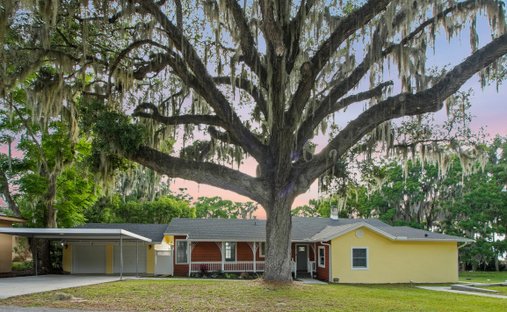 Maison à Leesburg, Floride, États-Unis 1