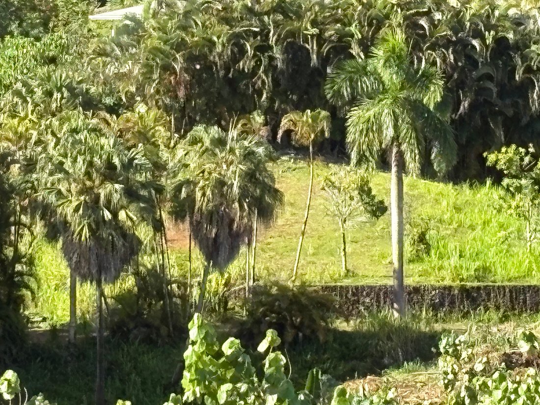 House in Kapaʻa, Hawaii, United States 2 - 17679881