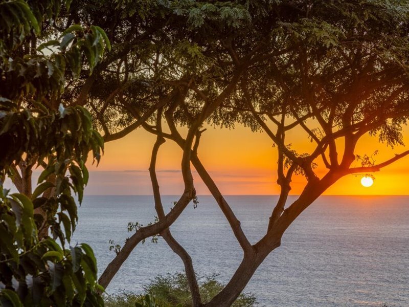 House in Kealakekua, Hawaii, United States 5 - 17681987