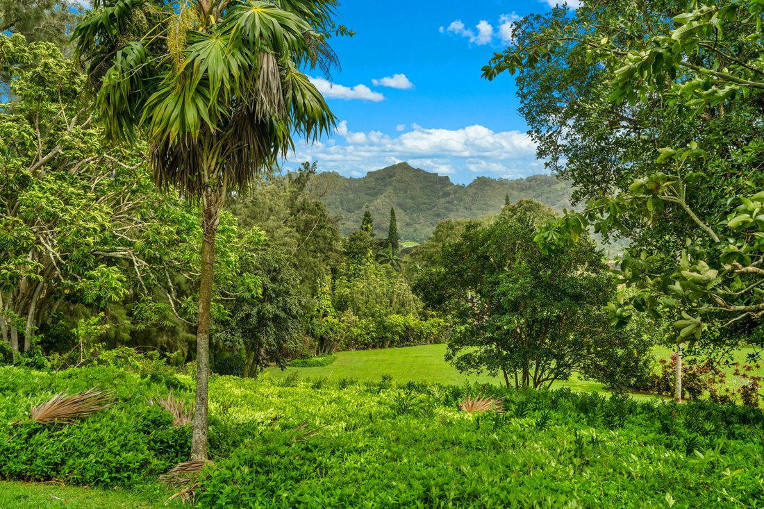 House in Kapaʻa, Hawaii, United States 4 - 17679971