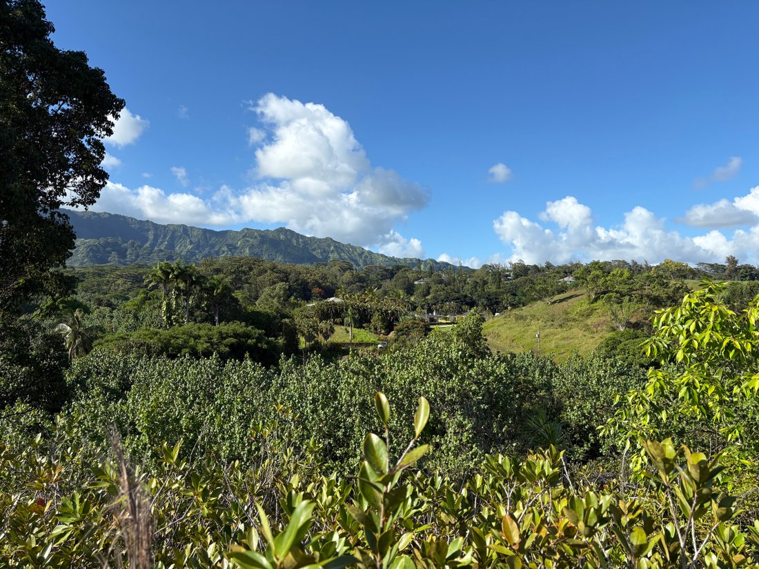 House in Kapaʻa, Hawaii, United States 5 - 17679881