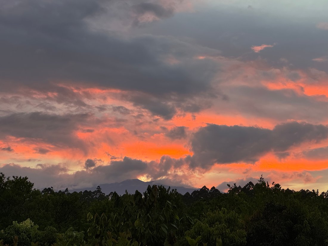 Farm Ranch in Pepeekeo, Hawaii, United States 5 - 17680007