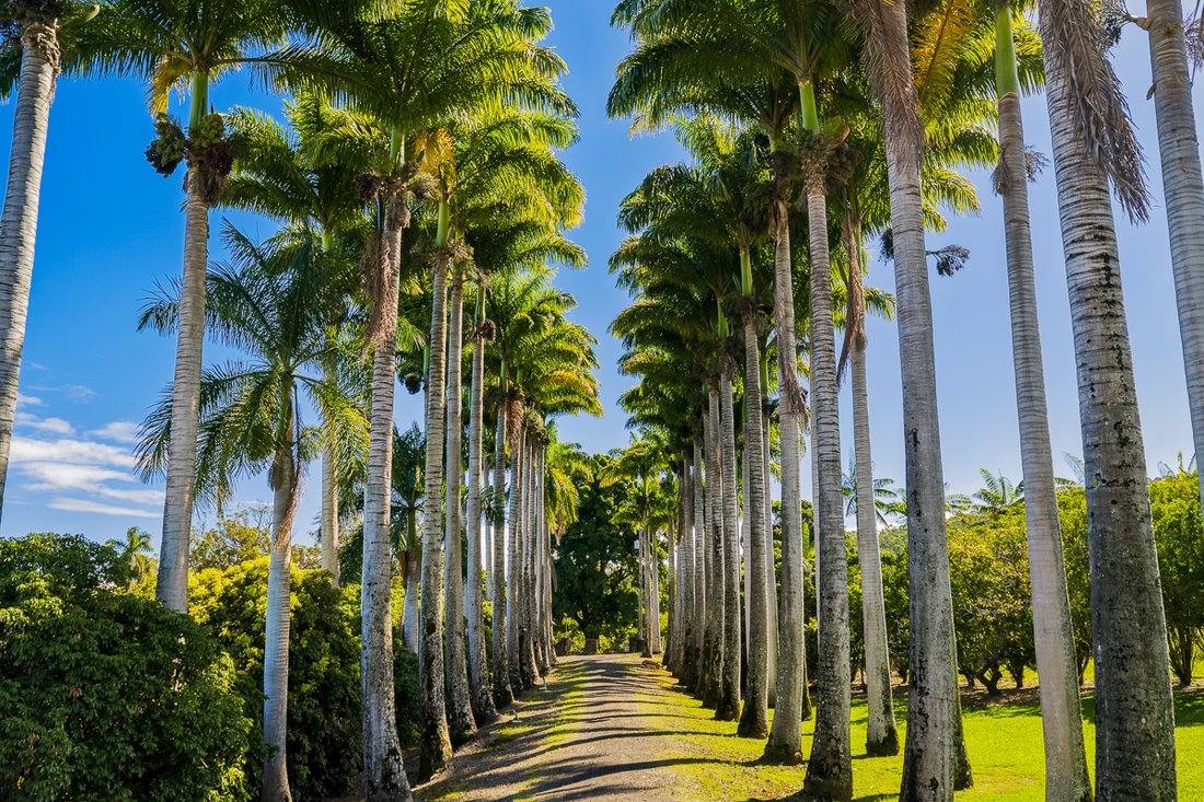 House in Hilo, Hawaii, United States 4 - 17679781