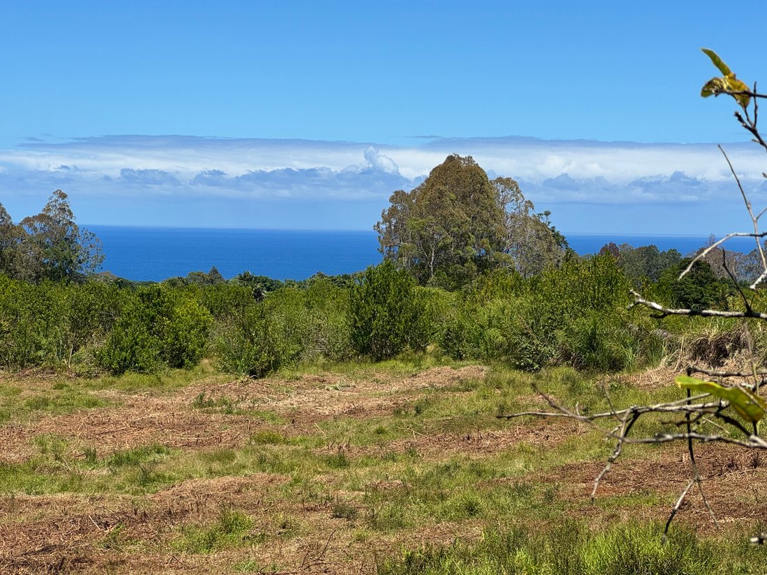 Farm Ranch in Pepeekeo, Hawaii, United States 3 - 17680007