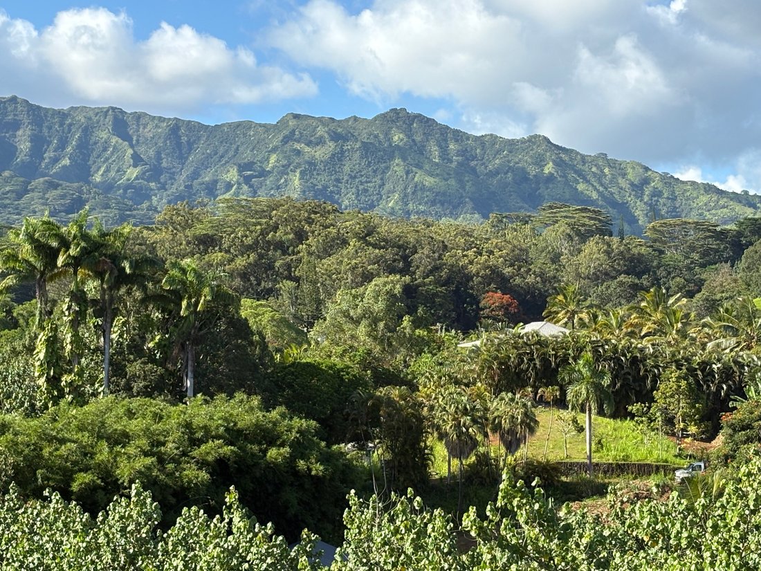 House in Kapaʻa, Hawaii, United States 4 - 17679881