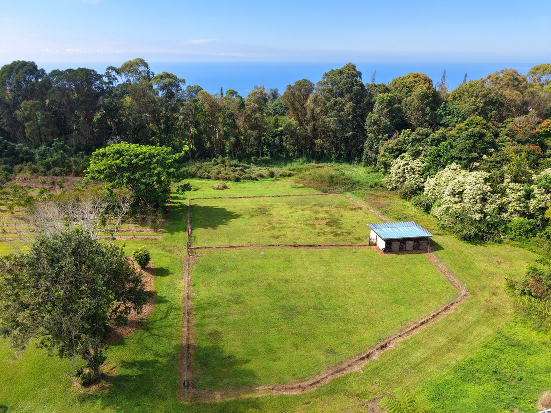 Farm Ranch in Kailua-Kona, Hawaii, United States 4 - 17679642