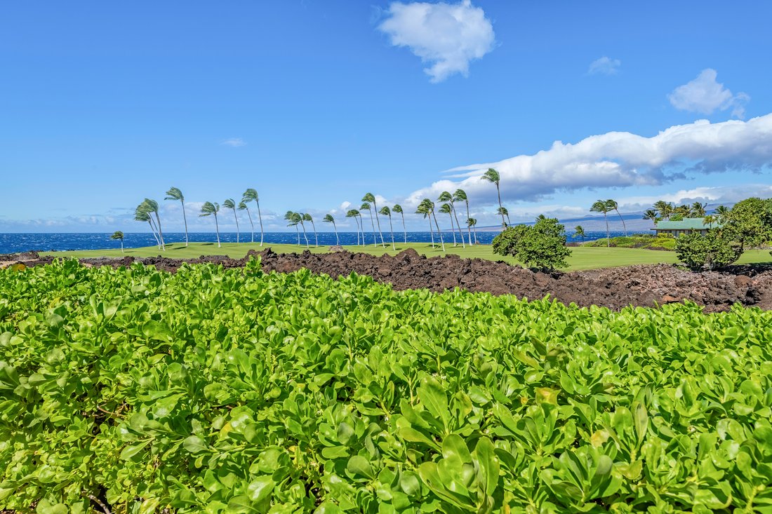 Condo in Waimea, Hawaii, United States 2 - 17679762