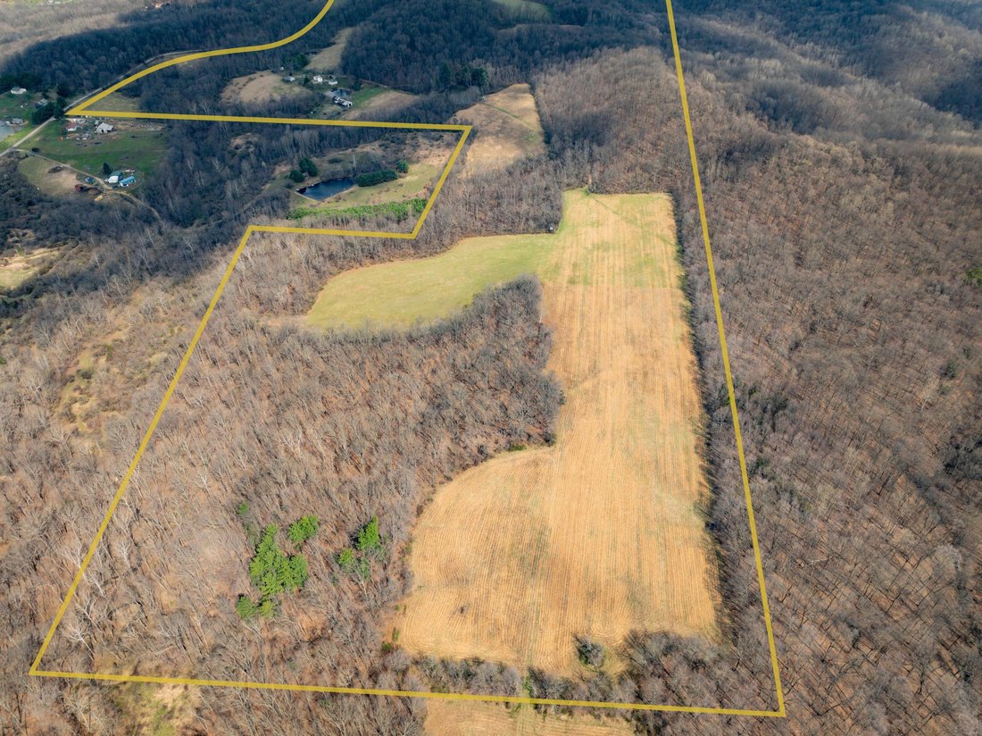 House in Laurelville, Ohio, United States 5 - 17679716