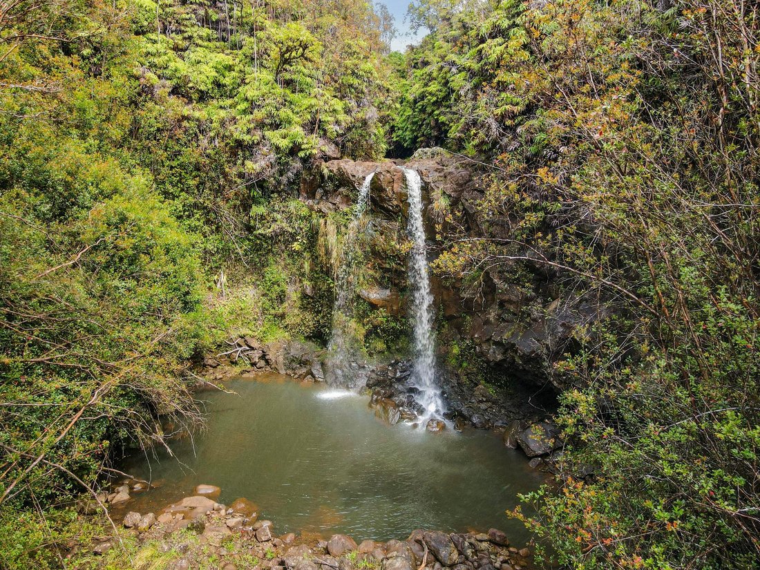 Farm Ranch in Laupahoehoe, Hawaii, United States 2 - 17680502
