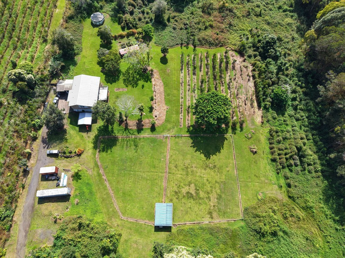 Farm Ranch in Kailua-Kona, Hawaii, United States 2 - 17679642