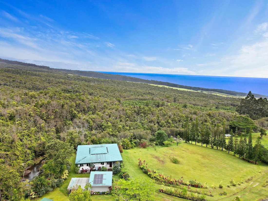 Farm Ranch in Laupahoehoe, Hawaii, United States 4 - 17680502