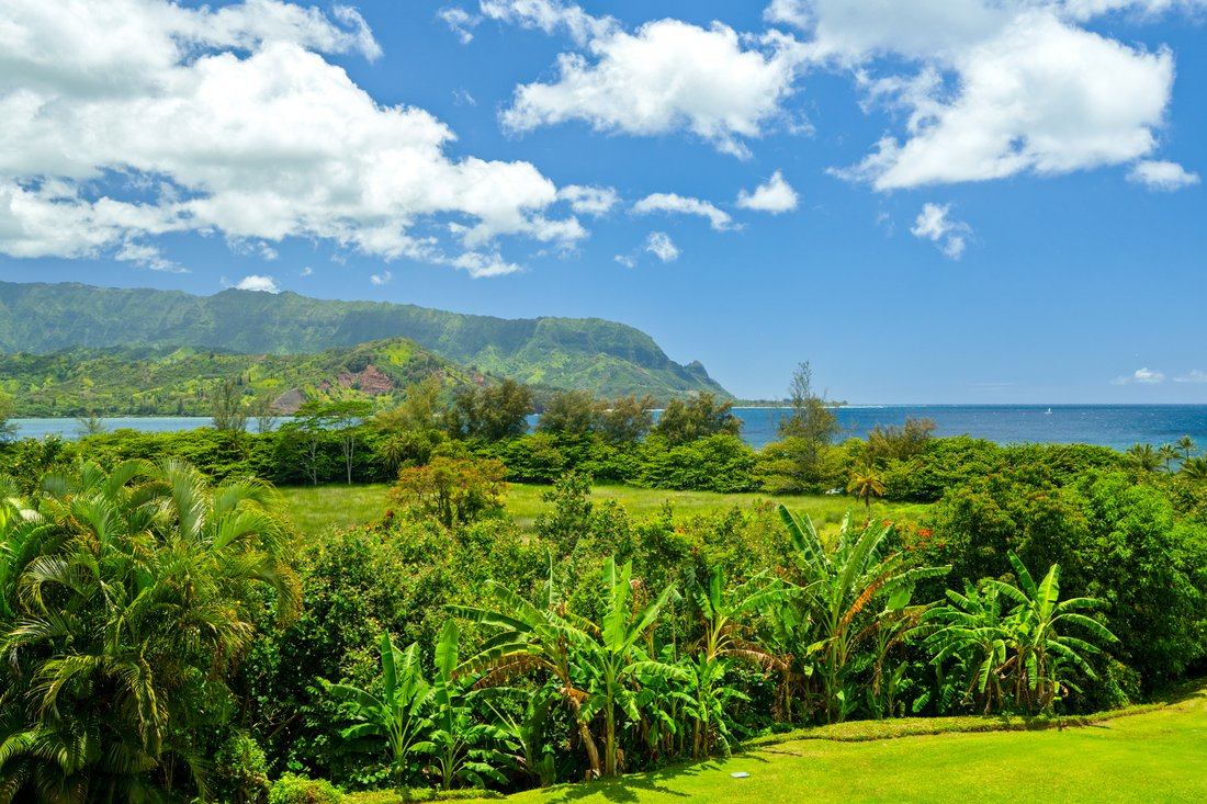 Condo in Princeville, Hawaii, United States 2 - 17681801