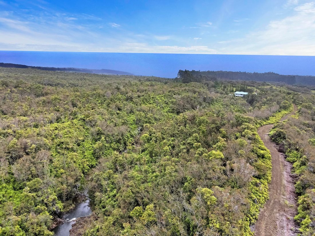 Farm Ranch in Laupahoehoe, Hawaii, United States 5 - 17680502
