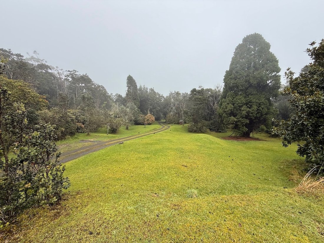House in Mountain View, Hawaii, United States 5 - 17679587