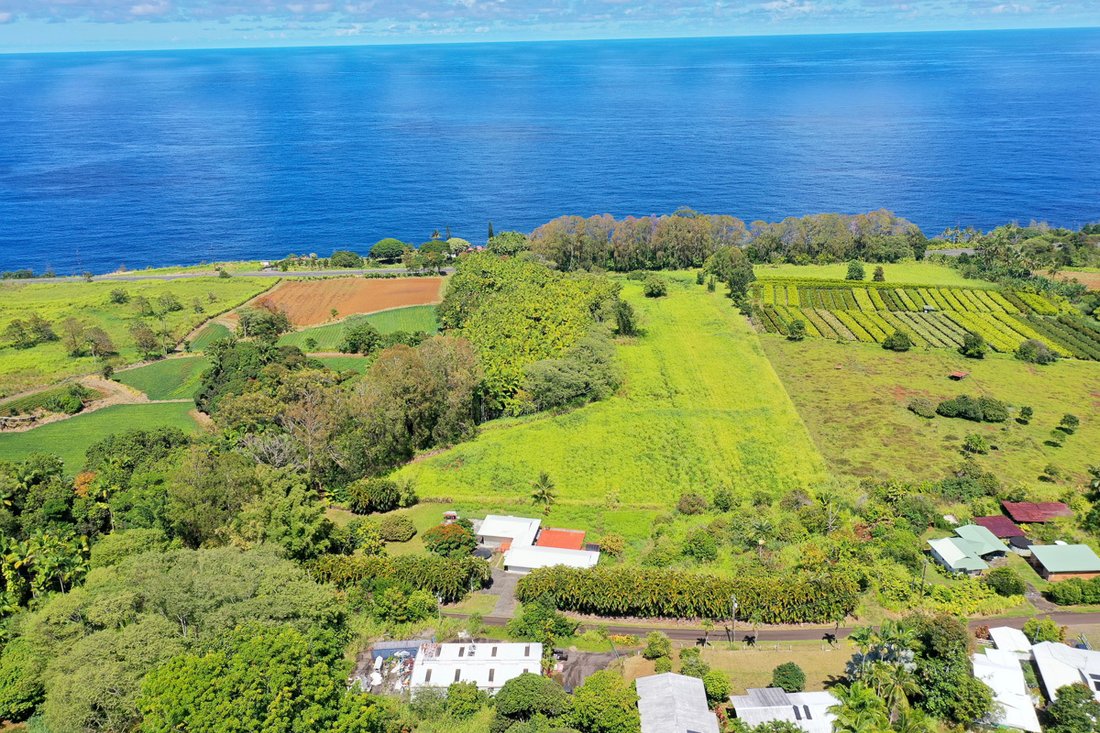 House in Hilo, Hawaii, United States 4 - 17679681