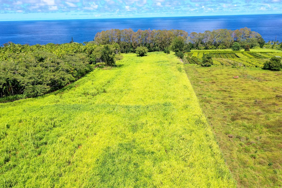 House in Hilo, Hawaii, United States 3 - 17679681