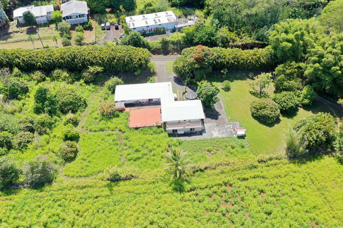 House in Hilo, Hawaii, United States 5 - 17679681