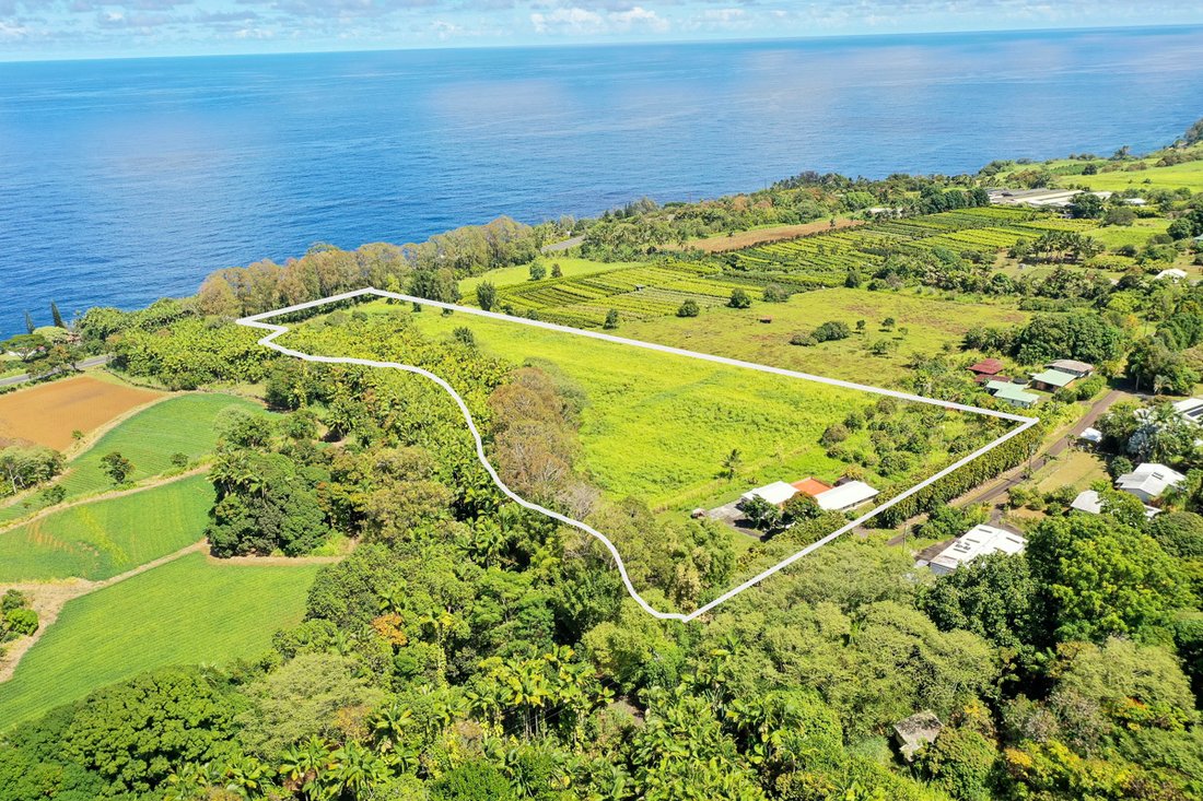 House in Hilo, Hawaii, United States 2 - 17679681