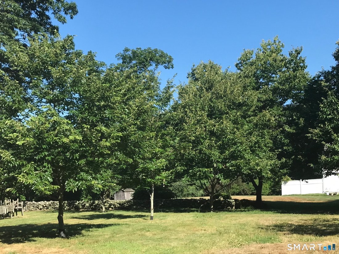 House in Fairfield, Connecticut, United States 3 - 17678006