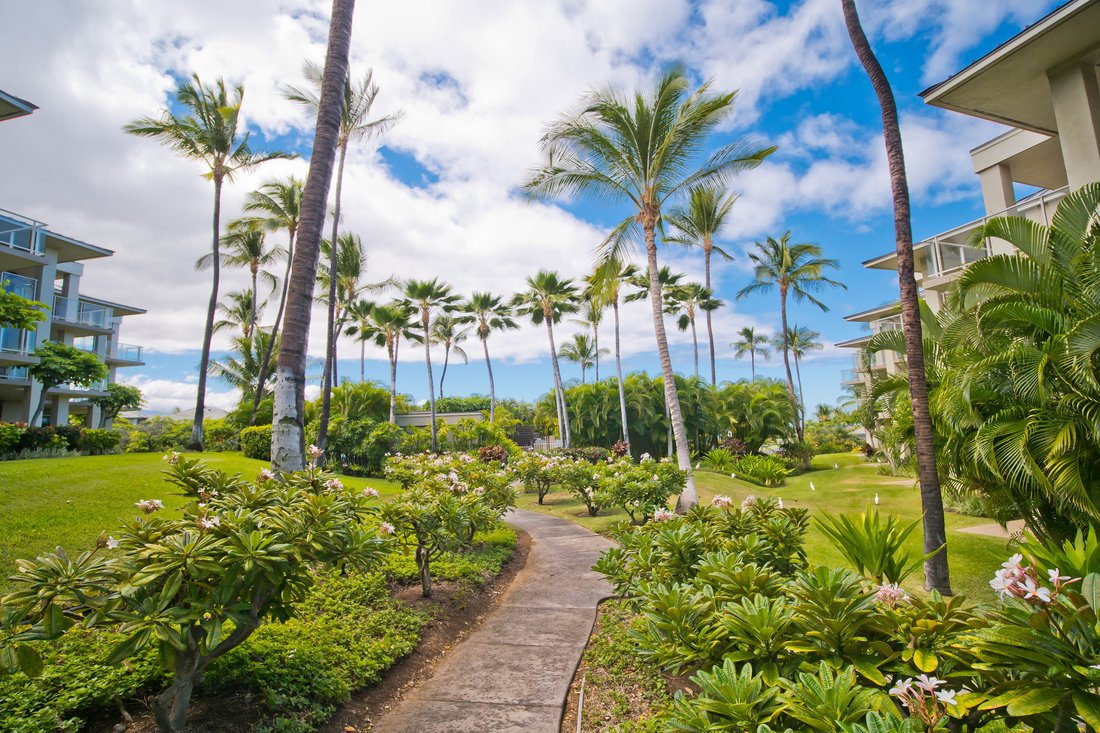 Condo in Waikoloa Village, Hawaii, United States 4 - 17680166