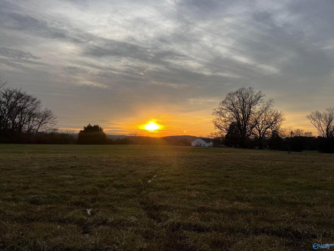 House in Moulton, Alabama, United States 2 - 17681163