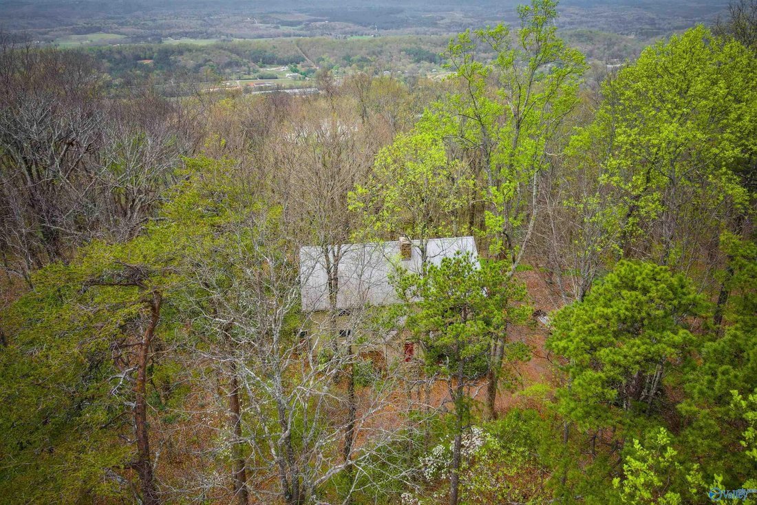 Casa a Mentone, Alabama, Stati Uniti 3 - 17680558
