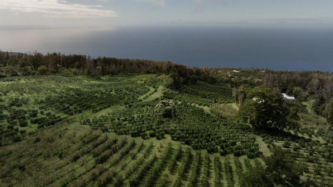 Land in Captain Cook, Hawaii, United States 3 - 17680065