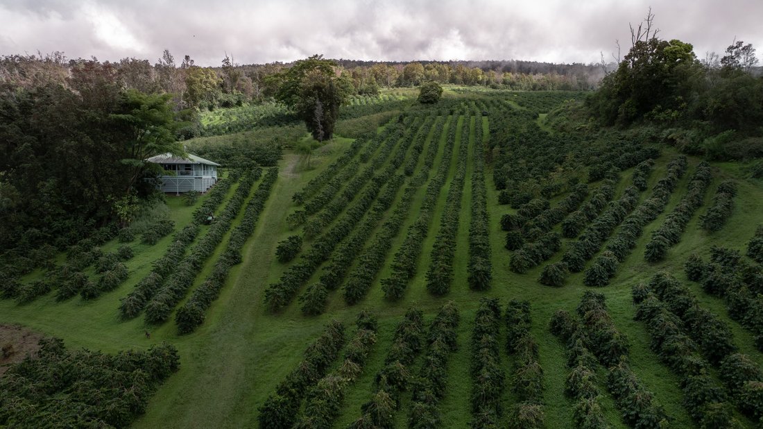 Land in Captain Cook, Hawaii, United States 1 - 17680065