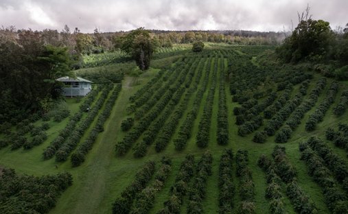 Land in Captain Cook, Hawaii, United States 1