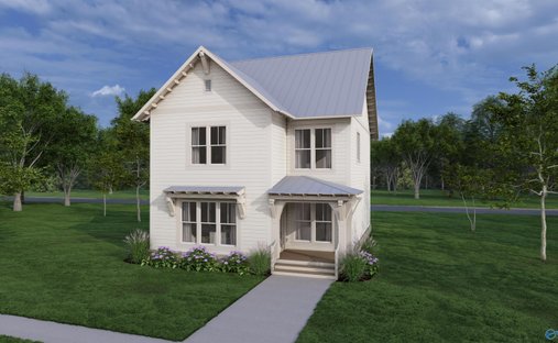 House in Guntersville, Alabama, United States 1
