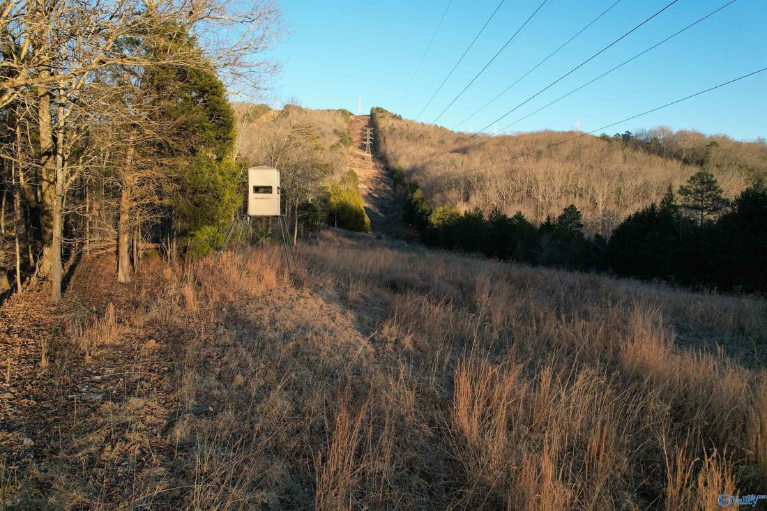 Farm Ranch in Bryant, Alabama, United States 4 - 17680528