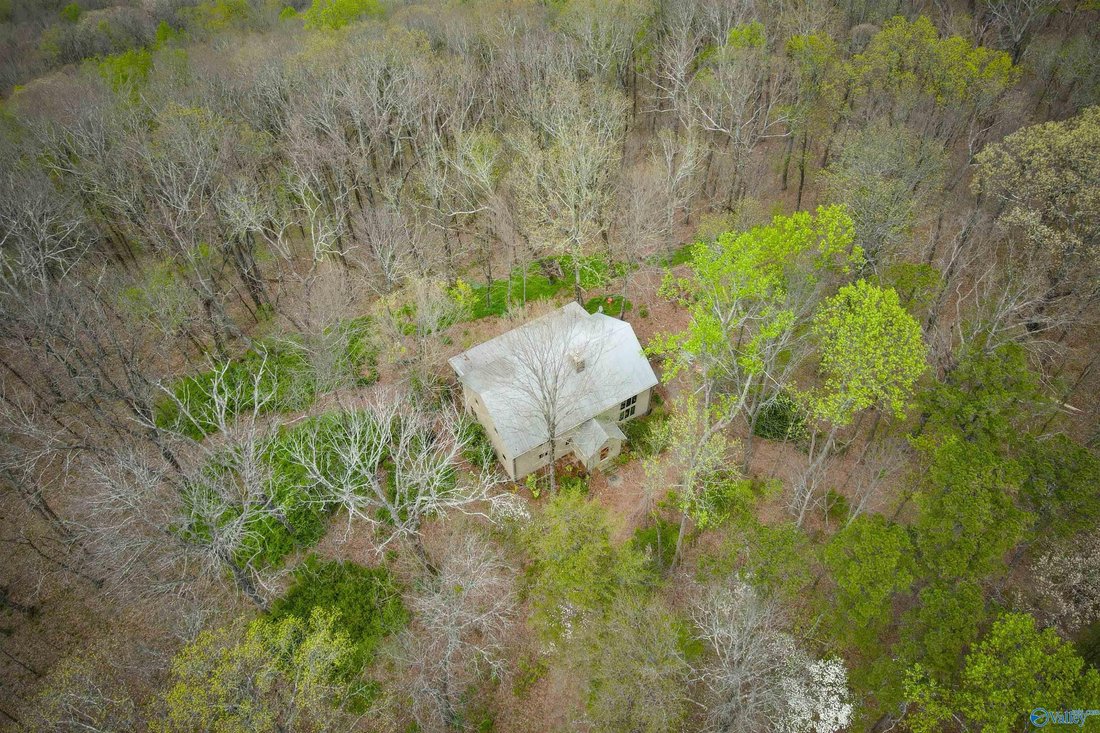 House in Mentone, Alabama, United States 2 - 17680387