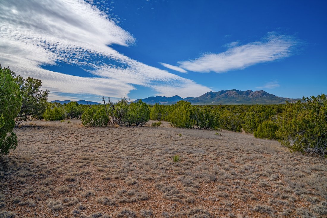House in Sandia Park, New Mexico, United States 3 - 17682257