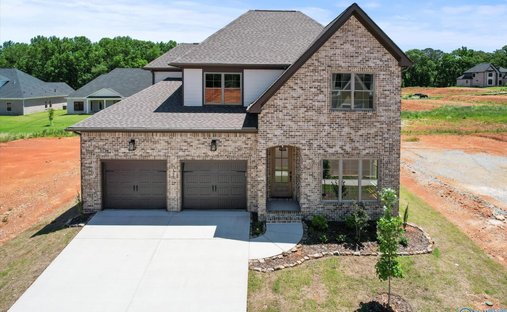 Casa en Madison, Alabama, Estados Unidos 1
