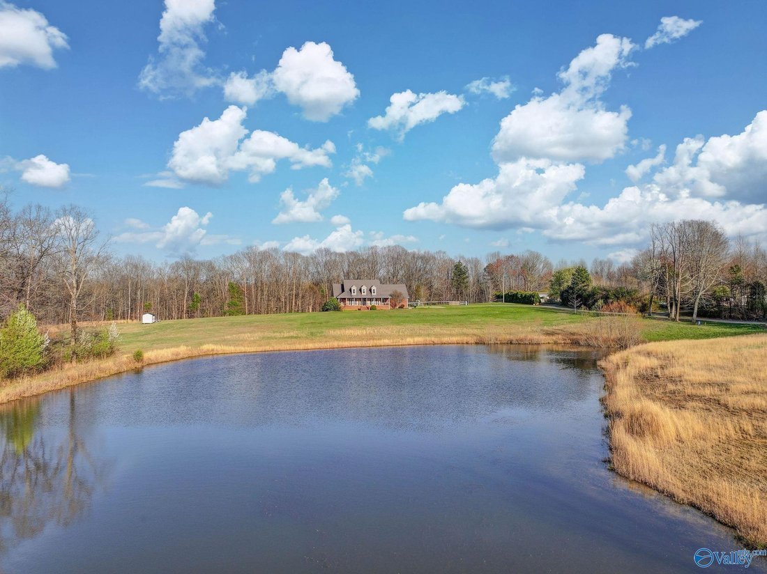 House in Hytop, Alabama, United States 5 - 17680285