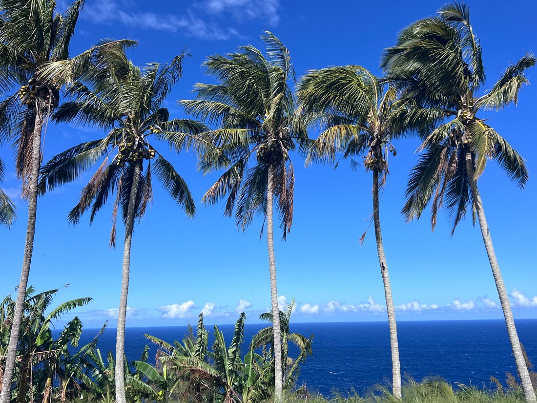 House in Hilo, Hawaii, United States 3 - 17680035